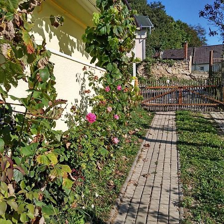Lately Renovated Country House Trenčín 외부 사진