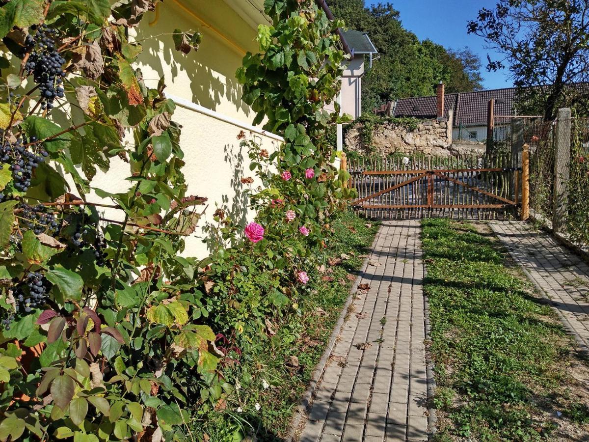 Lately Renovated Country House Trenčín 외부 사진