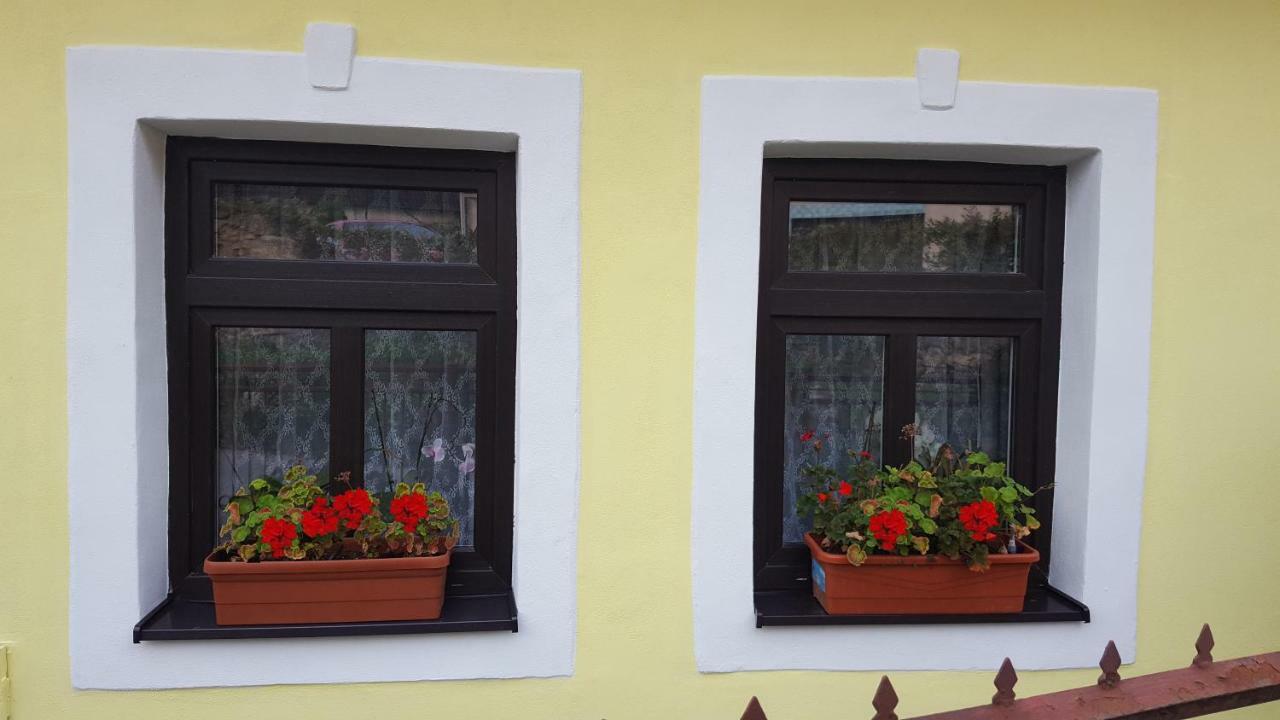 Lately Renovated Country House Trenčín 외부 사진